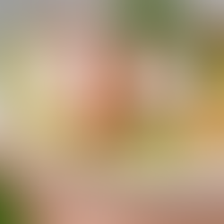  Salade de dinde et quinoa 