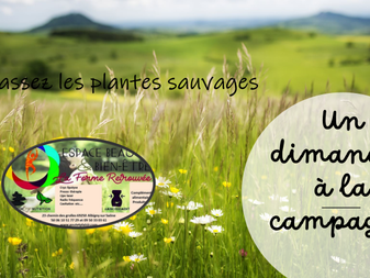 un dimanche à la campagne