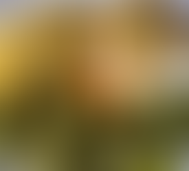 Filet de julienne au four