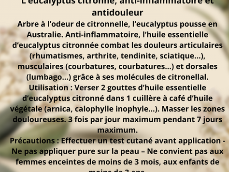 Les huiles essentielles