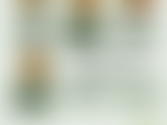 Les salades semaine du 7 au 10 avril 2026