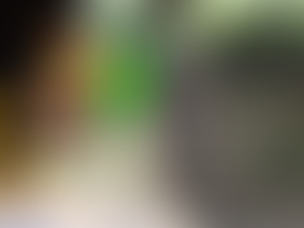 Des pâtes......des pâtes....