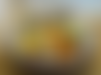 Mijotée de dinde et panais aux épices 1er déc.