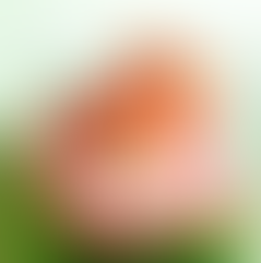 L’éventail du bien - être du 24 octobre 2021