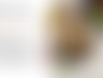 avec des feuilles de brick