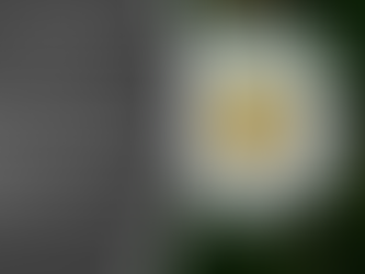 un dimanche à la campagne