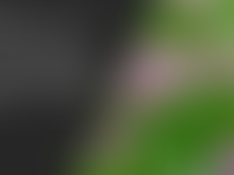 un dimanche à la campagne