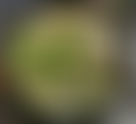 Porc en cocotte aux poireaux