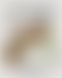 Recettes anti cellulite