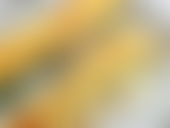 Cordon bleu de courgettes