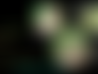 Le plus court chemin…………