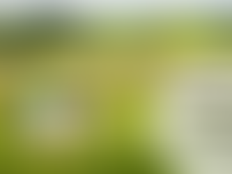 Un dimanche à la campagne