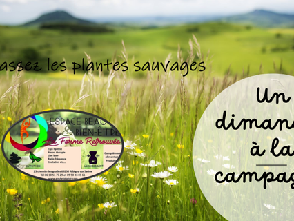 Un dimanche à la campagne