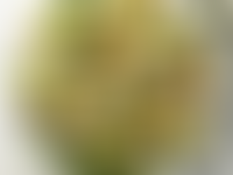 C’ est la rentrée! Halte au blues !