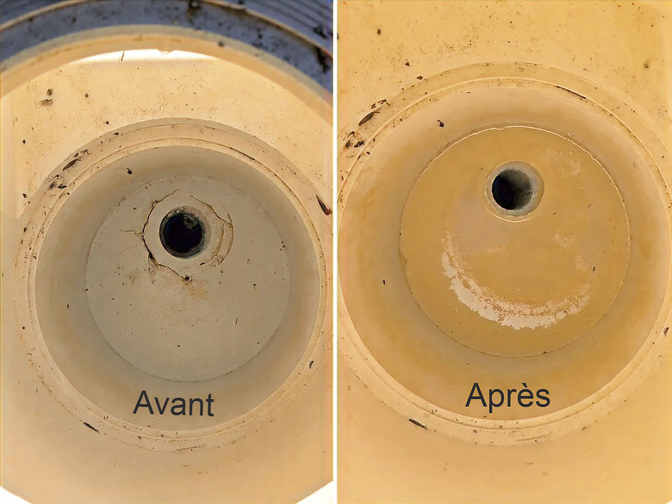 Réparation de skimmer avant après avec Leakeo