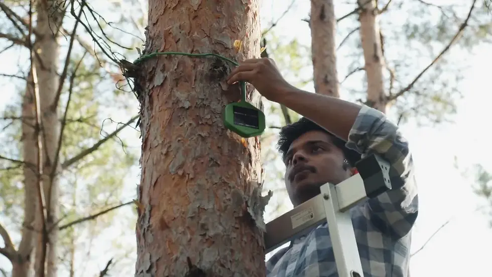 Installing a dryad solar wildfire detector