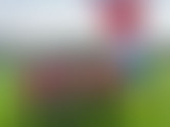 National County Team Championships- Day 1