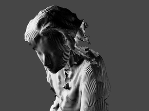 Institute for Predictive Images 