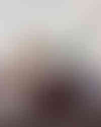 Galeries de présentation