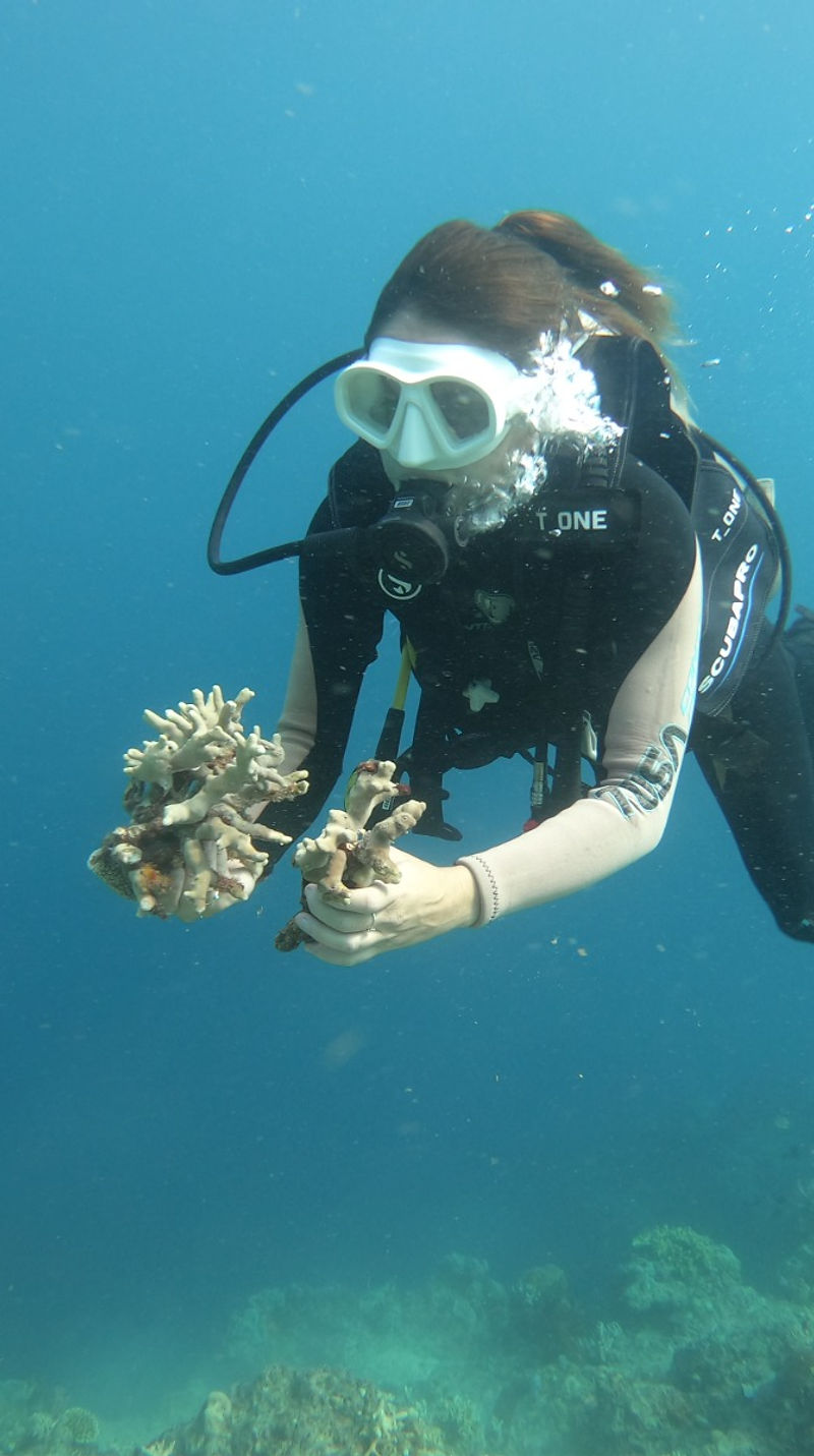 Certificate III in Marine Habitat Conservation and Restoration