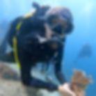 Bali Coral_edited