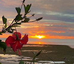 WhatsApp Image 2025-08-14 at 17.37.14_e86d8f25.jpg