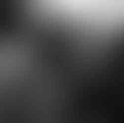 Valeriu Mladin – charcoal drawings on Canson paper from the Political Bestiary series; solo exhibition at Casa Artelor – Mogoșoaia, curated by Mihai Plămădeală. Monumental works depicting humans with animal heads as metaphors of the political world, with images from the opening, Alexandru Patatics Valeriu Mladin – desene în cărbune pe hârtie Canson din seria Political Bestiary; expoziție personală la Casa Artelor – Mogoșoaia, curator Mihai Plămădeală. Lucrări monumentale care reprezintă oameni cu cap de animale, metafore ale lumii politice, cu imagini de la vernisaj, Vasile Tolan