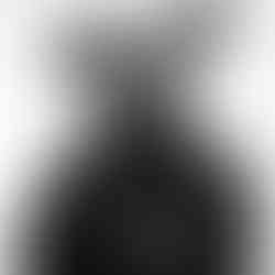 Valeriu Mladin – charcoal drawing on Canson paper from the Political Bestiary series, solo exhibition at Galateca Gallery, Bucharest; monumental works depicting humans with animal heads as metaphors of the political world Valeriu Mladin – desen în cărbune pe hârtie Canson din seria Political Bestiary, expoziție personală la Galeria Galateca, București; lucrări monumentale care reprezintă oameni cu cap de animale, metafore ale lumii politice