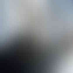 Valeriu Mladin, solo exhibition, Galateca Gallery, Bucharest, Political Bestiary, opening with audience and speeches, curator Ana-Maria Altmann, Vienna, charcoal drawings on Canson paper, large-scale drawings, political animals, humans, humans with animal heads Valeriu Mladin, expoziție personală, Galeria Galateca, București, Political Bestiary, vernisaj cu public și discursuri, curator Ana-Maria Altmann, Viena, desene în cărbune pe hârtie Canson, desene de mari dimensiuni, animale politice, oameni, oameni cu cap de animale