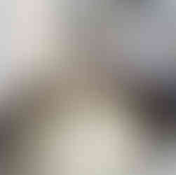 Valeriu Mladin, solo exhibition, Galateca Gallery, Bucharest, Political Bestiary, opening with audience and speeches, curator Ana-Maria Altmann, Vienna, charcoal drawings on Canson paper, large-scale drawings, political animals, humans, humans with animal heads Valeriu Mladin, expoziție personală, Galeria Galateca, București, Political Bestiary, vernisaj cu public și discursuri, curator Ana-Maria Altmann, Viena, desene în cărbune pe hârtie Canson, desene de mari dimensiuni, animale politice, oameni, oameni cu cap de animale