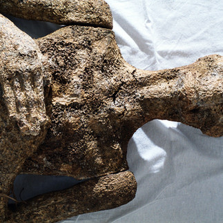 Valeriu Mladin – expoziția „Zece ani după”, 1999, artă contemporană românească, pictură monumentală și sculpturi din grâu germinat, arta memorială despre jertfa și sacrificiul martirilor Revoluției. Valeriu Mladin – exhibition “Ten Years After”, 1999, Romanian contemporary art, monumental painting and germinated wheat sculptures, memorial art about the sacrifice and devotion of the martyrs of the Revolution.