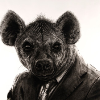 Valeriu Mladin – charcoal drawings on Canson paper from the Political Bestiary series; solo exhibition at Casa Artelor – Mogoșoaia, curated by Mihai Plămădeală. Monumental works depicting humans with animal heads as metaphors of the political world, with images from the opening.  Valeriu Mladin – desene în cărbune pe hârtie Canson din seria Political Bestiary, the Pig; expoziție personală la Casa Artelor – Mogoșoaia, curator Mihai Plămădeală. Lucrări monumentale care reprezintă oameni cu cap de animale, metafore ale lumii politice, cu imagini de la vernisaj.