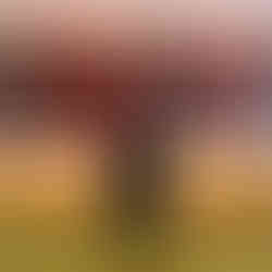 Valeriu Mladin – „Zece ani după”, 1999, Muzeul Național de Artă al României, pictură și sculpturi din grâu germinat, arta memorială despre martirii Revoluției, simboluri de jertfă și sacrificiu. Valeriu Mladin – “Ten Years After”, 1999, National Museum of Art of Romania, painting and germinated wheat sculptures, memorial art about the martyrs of the Revolution, symbols of sacrifice and devotion.