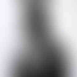 Valeriu Mladin, Political Bestiary, charcoal drawing on paper, 200 x 150 cm; monumental works depicting hybrid figures with human bodies and animal heads, part of a critical and allegorical series exploring political power, identity, and social satire.