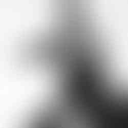 Valeriu Mladin – charcoal drawings on Canson paper from the Political Bestiary series; solo exhibition at Casa Artelor – Mogoșoaia, curated by Mihai Plămădeală. Monumental works depicting humans with animal heads as metaphors of the political world, with images from the opening. Valeriu Mladin – desene în cărbune pe hârtie Canson din seria Political Bestiary; expoziție personală la Casa Artelor – Mogoșoaia, curator Mihai Plămădeală. Lucrări monumentale care reprezintă oameni cu cap de animale, metafore ale lumii politice, cu imagini de la vernisaj.