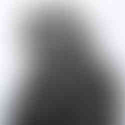 Valeriu Mladin, Political Bestiary, charcoal drawing on paper, 200 x 150 cm; monumental works depicting hybrid figures with human bodies and animal heads, part of a critical and allegorical series exploring political power, identity, and social satire.