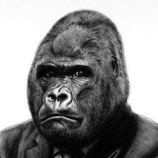 Valeriu Mladin – charcoal drawings on Canson paper from the Political Bestiary series; solo exhibition at Casa Artelor – Mogoșoaia, curated by Mihai Plămădeală. Monumental works depicting humans with animal heads as metaphors of the political world, with images from the opening. Valeriu Mladin – desene în cărbune pe hârtie Canson din seria Political Bestiary; expoziție personală la Casa Artelor – Mogoșoaia, curator Mihai Plămădeală. Lucrări monumentale care reprezintă oameni cu cap de animale, metafore ale lumii politice, cu imagini de la vernisaj.