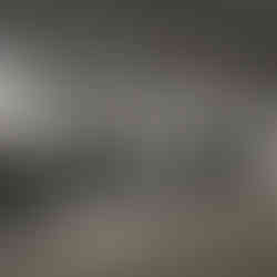 Valeriu Mladin – charcoal drawing on Canson paper from the Political Bestiary series, solo exhibition at Galateca Gallery, Bucharest; monumental works depicting humans with animal heads as metaphors of the political world Valeriu Mladin – desen în cărbune pe hârtie Canson din seria Political Bestiary, expoziție personală la Galeria Galateca, București; lucrări monumentale care reprezintă oameni cu cap de animale, metafore ale lumii politice