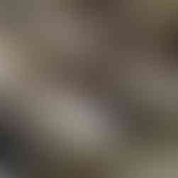 Valeriu Mladin – expoziția „Zece ani după”, 1999, artă contemporană românească, pictură monumentală și sculpturi din grâu germinat, arta memorială despre jertfa și sacrificiul martirilor Revoluției. Valeriu Mladin – exhibition “Ten Years After”, 1999, Romanian contemporary art, monumental painting and germinated wheat sculptures, memorial art about the sacrifice and devotion of the martyrs of the Revolution.