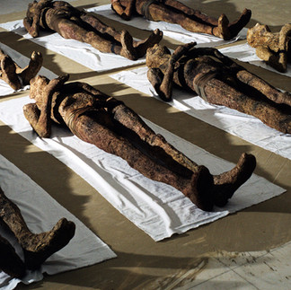 Valeriu Mladin – expoziția „Zece ani după”, 1999, artă contemporană românească, pictură monumentală și sculpturi din grâu germinat, arta memorială despre jertfa și sacrificiul martirilor Revoluției. Valeriu Mladin – exhibition “Ten Years After”, 1999, Romanian contemporary art, monumental painting and germinated wheat sculptures, memorial art about the sacrifice and devotion of the martyrs of the Revolution.