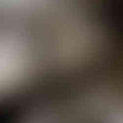 Valeriu Mladin – expoziția „Zece ani după”, 1999, artă contemporană românească, pictură monumentală și sculpturi din grâu germinat, arta memorială despre jertfa și sacrificiul martirilor Revoluției. Valeriu Mladin – exhibition “Ten Years After”, 1999, Romanian contemporary art, monumental painting and germinated wheat sculptures, memorial art about the sacrifice and devotion of the martyrs of the Revolution.