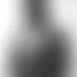 Valeriu Mladin, Political Bestiary, charcoal drawing on paper, 200 x 150 cm; monumental works depicting hybrid figures with human bodies and animal heads, part of a critical and allegorical series exploring political power, identity, and social satire.