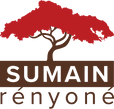 19_logo_asr.png