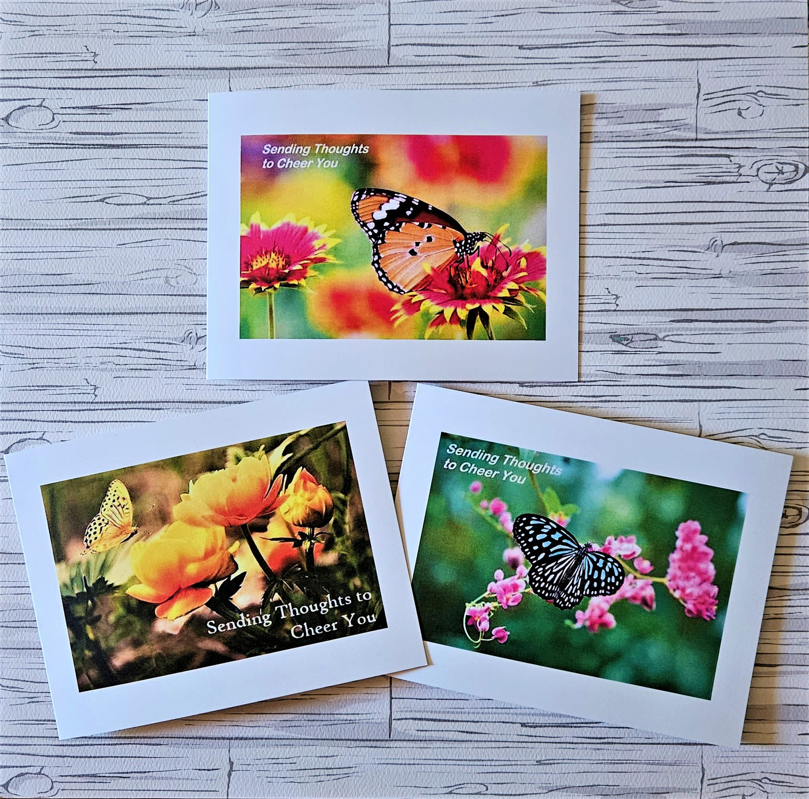 BUTTERFLY BLESSINGS 6-pack (2 of each)