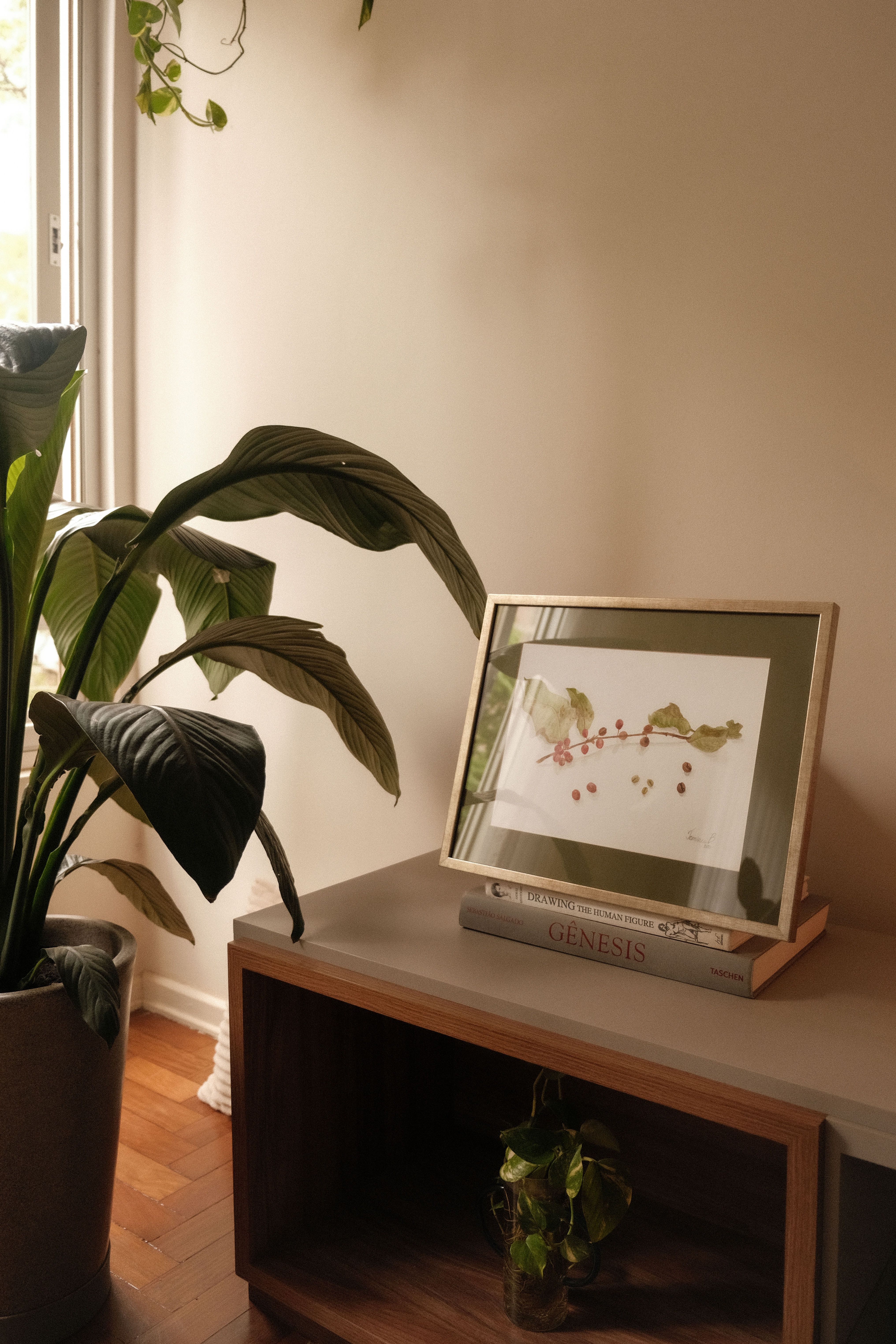 Original {papel} - Visita à fazenda