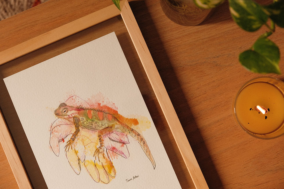 Miniatura: Original {papel} - Flor do deserto