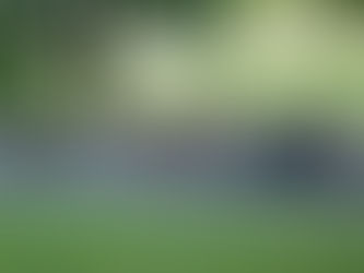 VON DER IDEE ZUR VISION