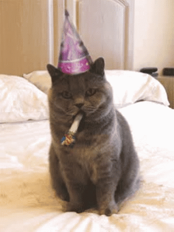 6 birthday gif.gif