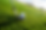 golf ball field.PNG