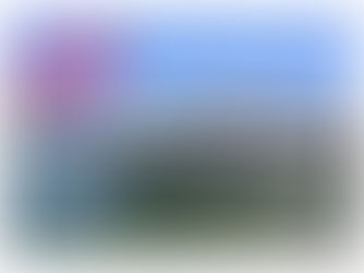 Croisière sur le Rhône avec CroisiEurope